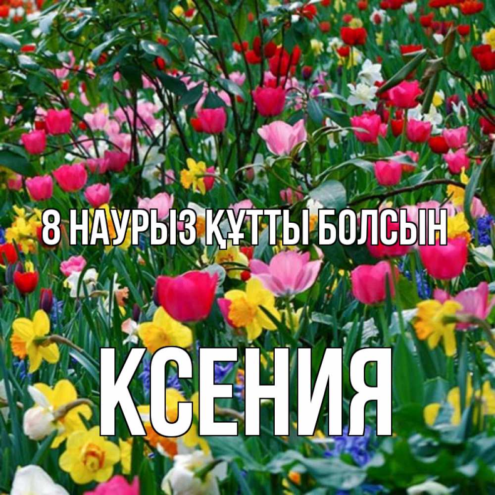 Күн сайын ашық хат с именем, Ксения 8 наурыз құтты болсын с международным женским днем поздравления для женщины Онлайн тегін жүктеп алу тілектері бар керемет карта 