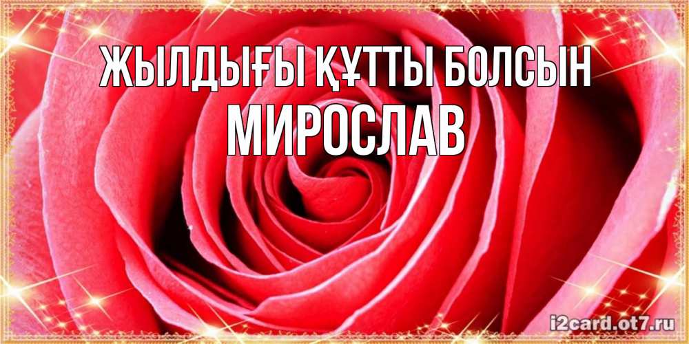 Күн сайын ашық хат с именем, Мирослав Жылдығы құтты болсын розовая роза очень крупный бутон Онлайн тегін жүктеп алу тілектері бар керемет карта 
