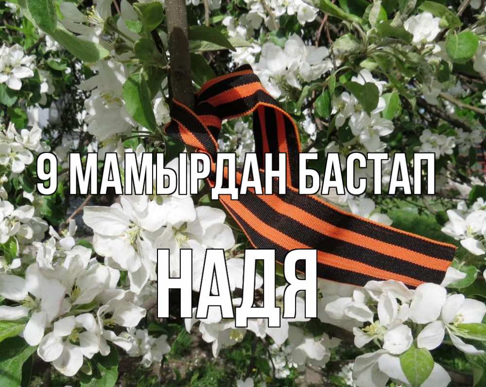 Күн сайын ашық хат с именем, Надя 9 мамырдан бастап 9 мая Онлайн тегін жүктеп алу тілектері бар керемет карта 