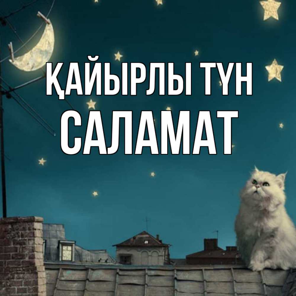 Күн сайын ашық хат с именем, САЛАМАТ Қайырлы түн белый кот сидит на крыше Онлайн тегін жүктеп алу тілектері бар керемет карта 
