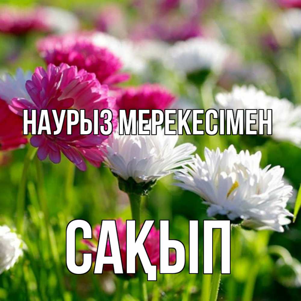 Күн сайын ашық хат с именем, САҚЫП Наурыз мерекесімен праздник весны наурыз красота Онлайн тегін жүктеп алу тілектері бар керемет карта 