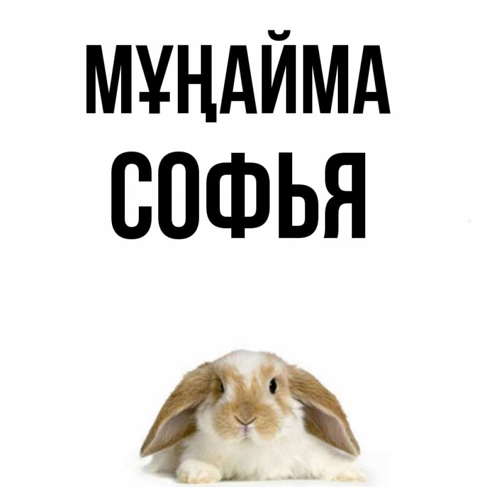 Күн сайын ашық хат с именем, Софья Мұңайма коричнево белый заяц с большими ушками Онлайн тегін жүктеп алу тілектері бар керемет карта 