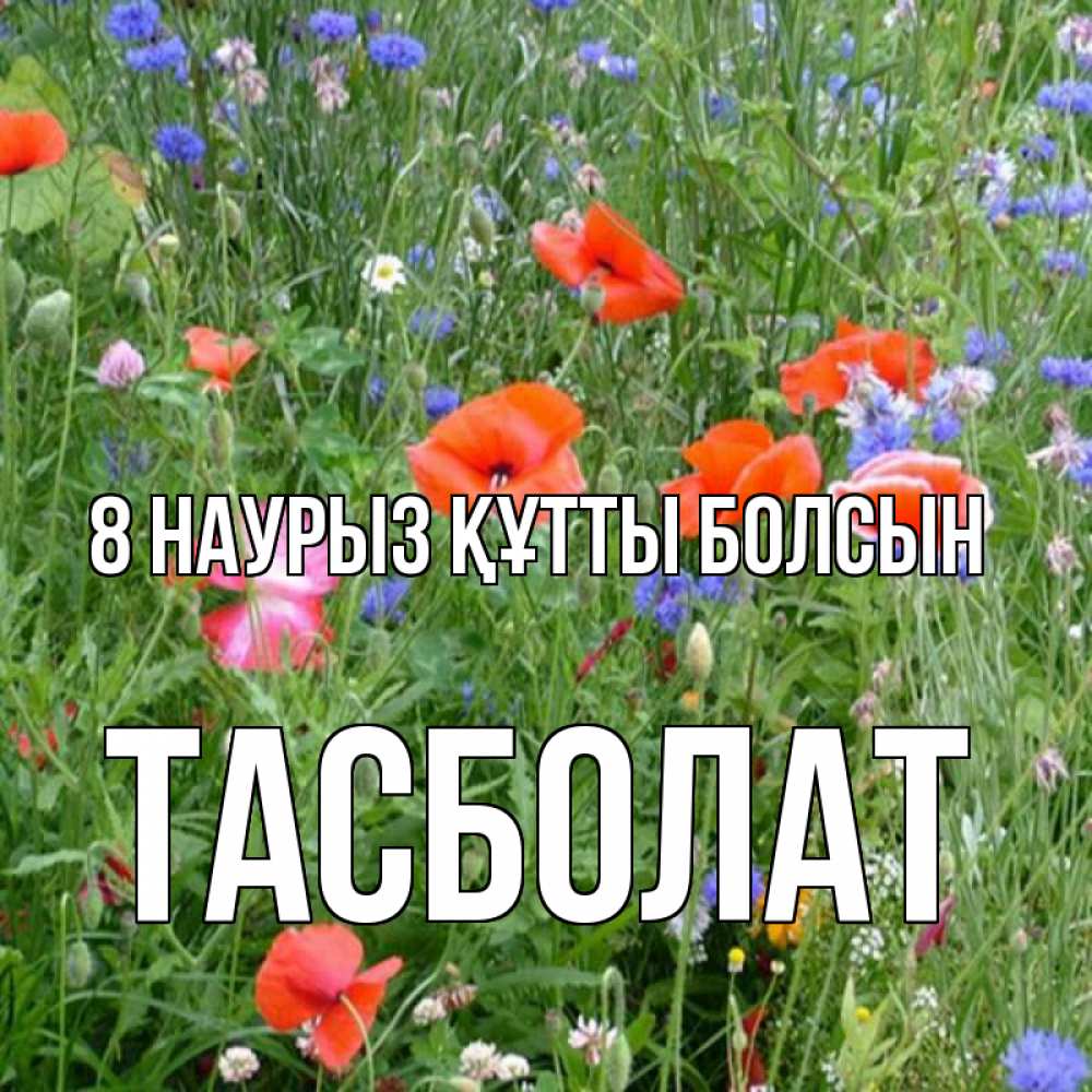 Күн сайын ашық хат с именем, ТАСБОЛАТ 8 наурыз құтты болсын международный женский день 4 Онлайн тегін жүктеп алу тілектері бар керемет карта 