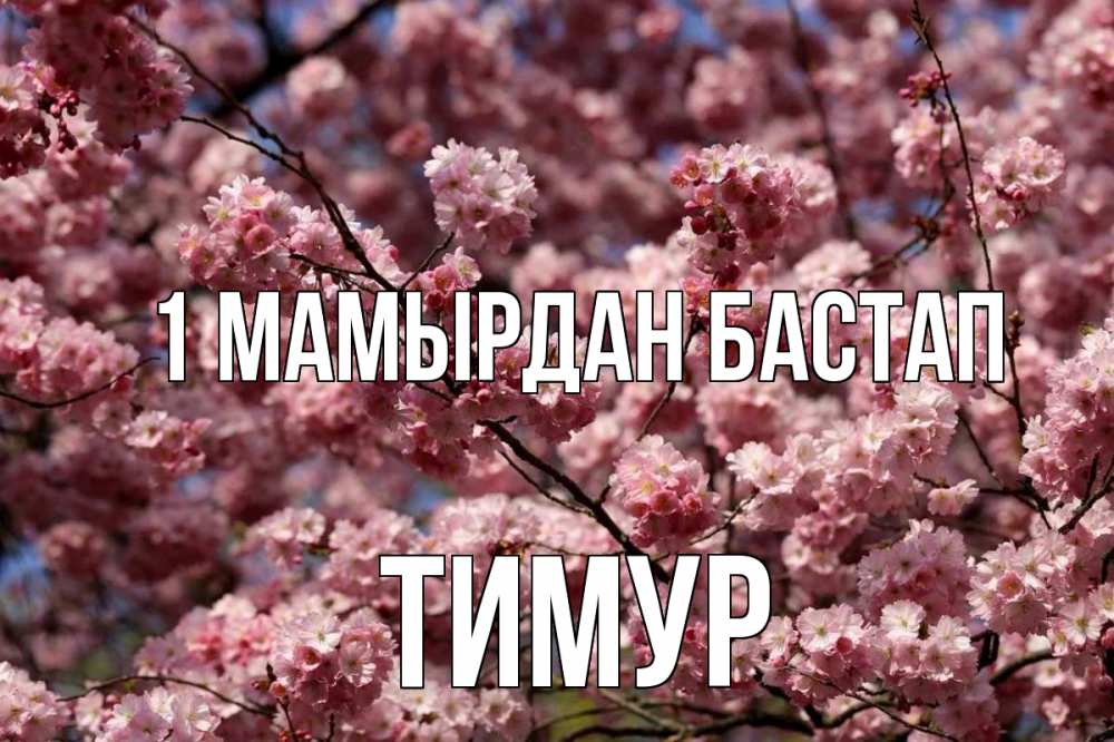 Күн сайын ашық хат с именем, Тимур 1 мамырдан бастап С 1 мая Онлайн тегін жүктеп алу тілектері бар керемет карта 