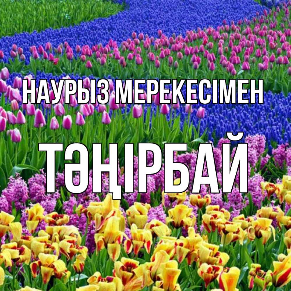 Күн сайын ашық хат с именем, ТӘҢІРБАЙ Наурыз мерекесімен цветы Онлайн тегін жүктеп алу тілектері бар керемет карта 