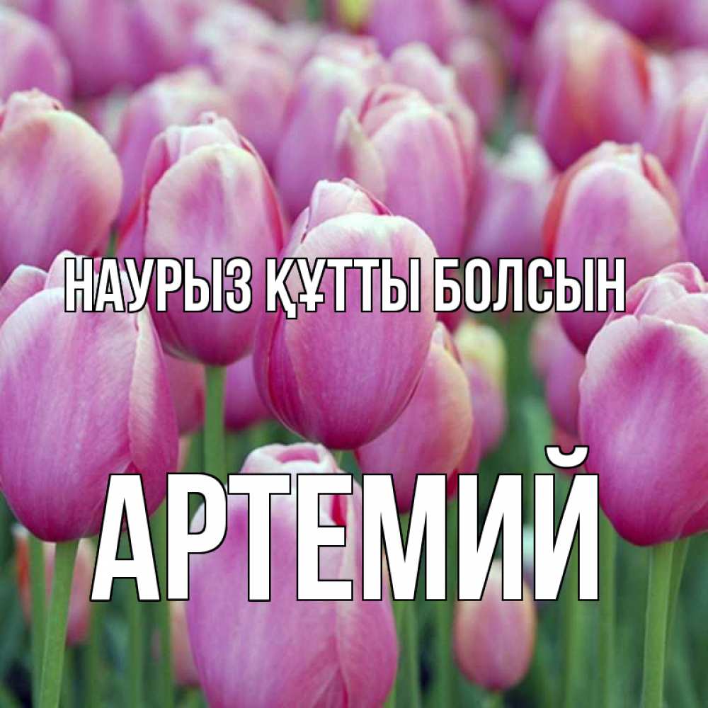 Күн сайын ашық хат с именем, Артемий Наурыз құтты болсын на наурыз  день 3 Онлайн тегін жүктеп алу тілектері бар керемет карта 