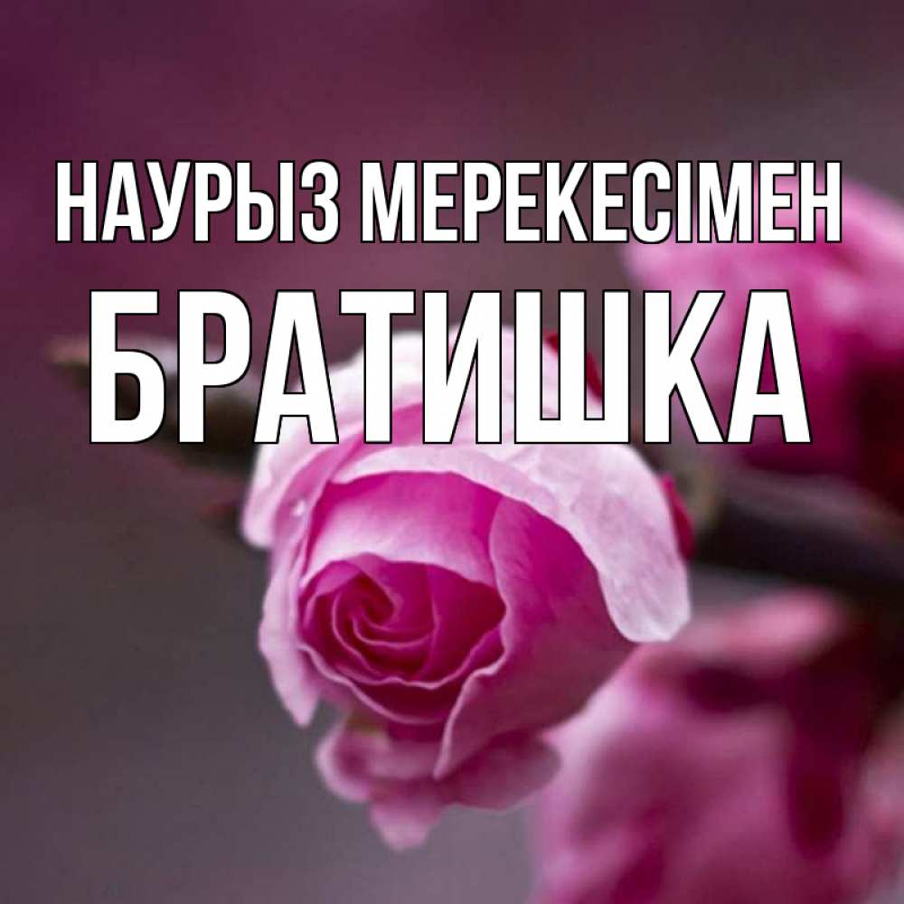 Күн сайын ашық хат с именем, Братишка Наурыз мерекесімен весна Онлайн тегін жүктеп алу тілектері бар керемет карта 