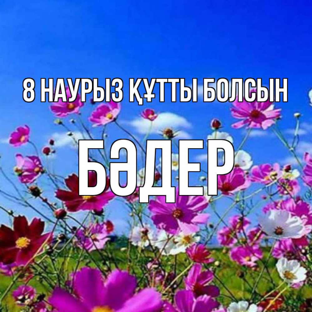 Күн сайын ашық хат с именем, БӘДЕР 8 наурыз құтты болсын цветы Онлайн тегін жүктеп алу тілектері бар керемет карта 