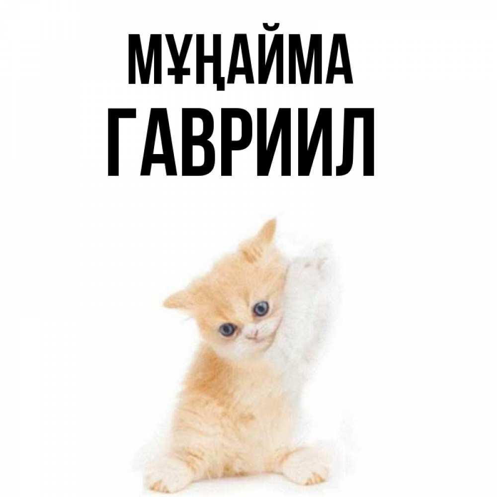 Күн сайын ашық хат с именем, Гавриил Мұңайма просящий кот Онлайн тегін жүктеп алу тілектері бар керемет карта 