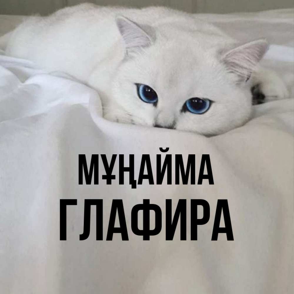 Күн сайын ашық хат с именем, Глафира Мұңайма Голубоглазая кошка Онлайн тегін жүктеп алу тілектері бар керемет карта 