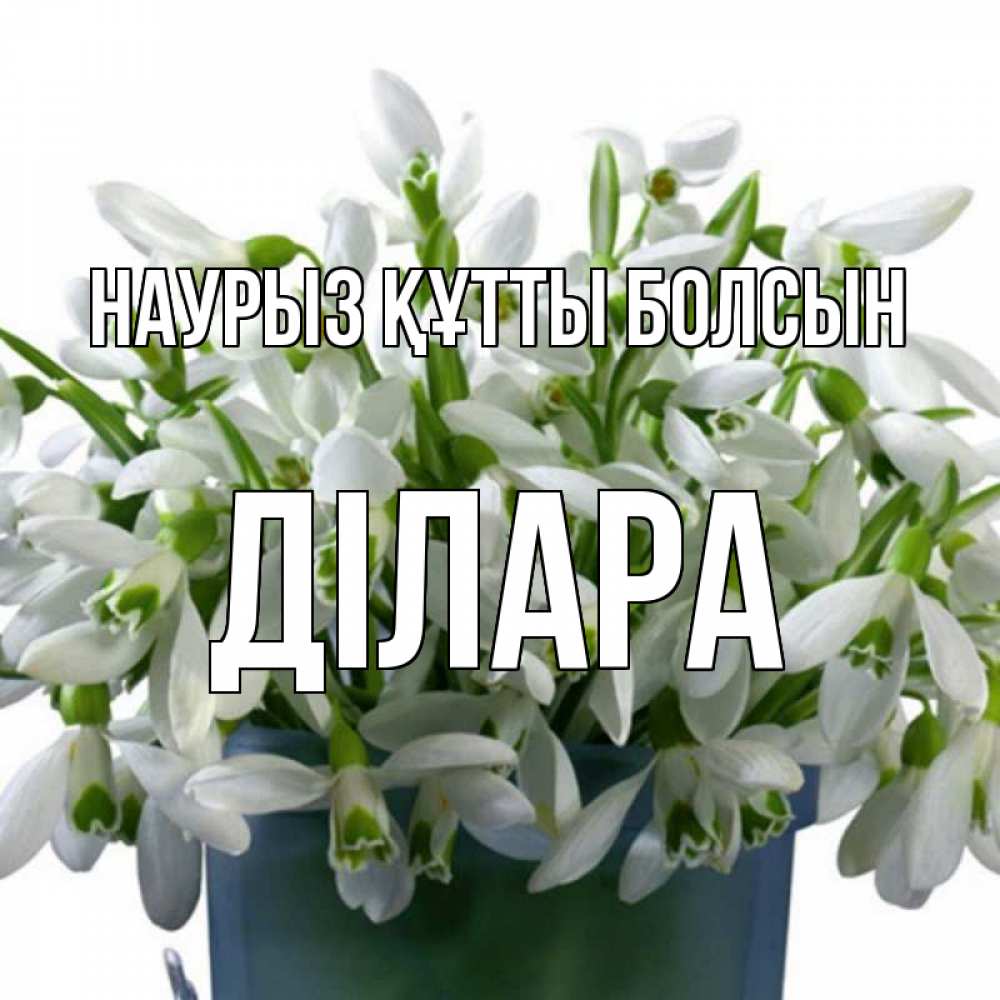Күн сайын ашық хат с именем, ДІЛАРА Наурыз құтты болсын цветы к наурызу Онлайн тегін жүктеп алу тілектері бар керемет карта 