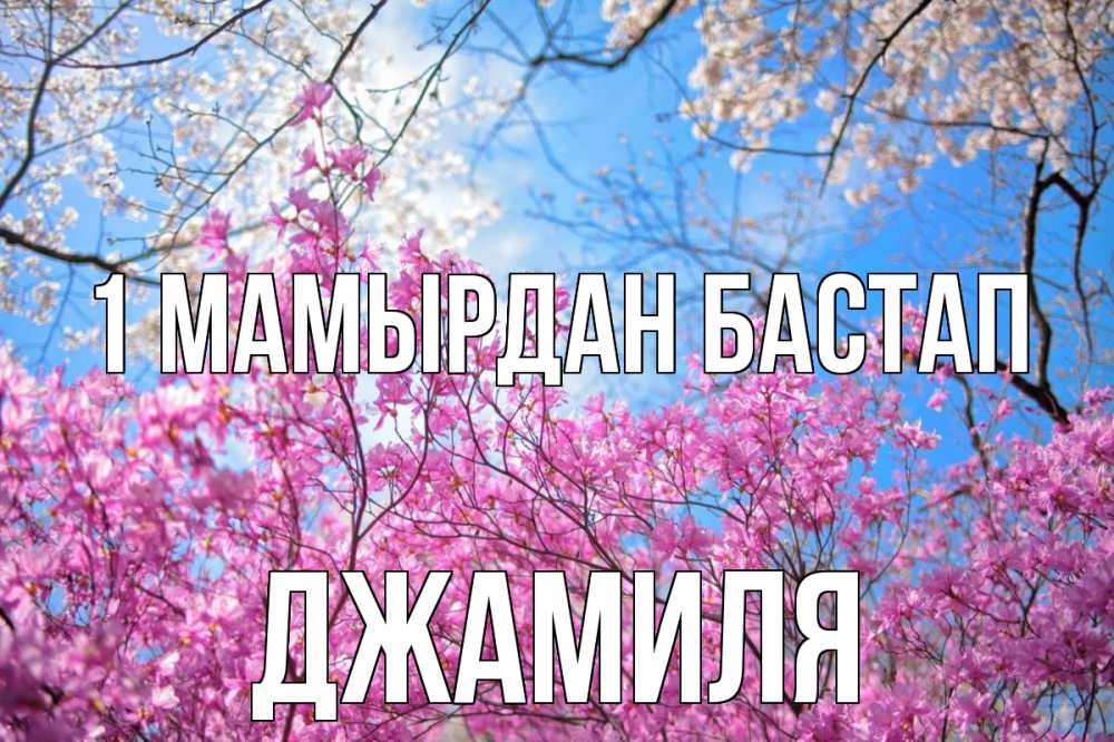 Күн сайын ашық хат с именем, Джамиля 1 мамырдан бастап С 1 мая Онлайн тегін жүктеп алу тілектері бар керемет карта 