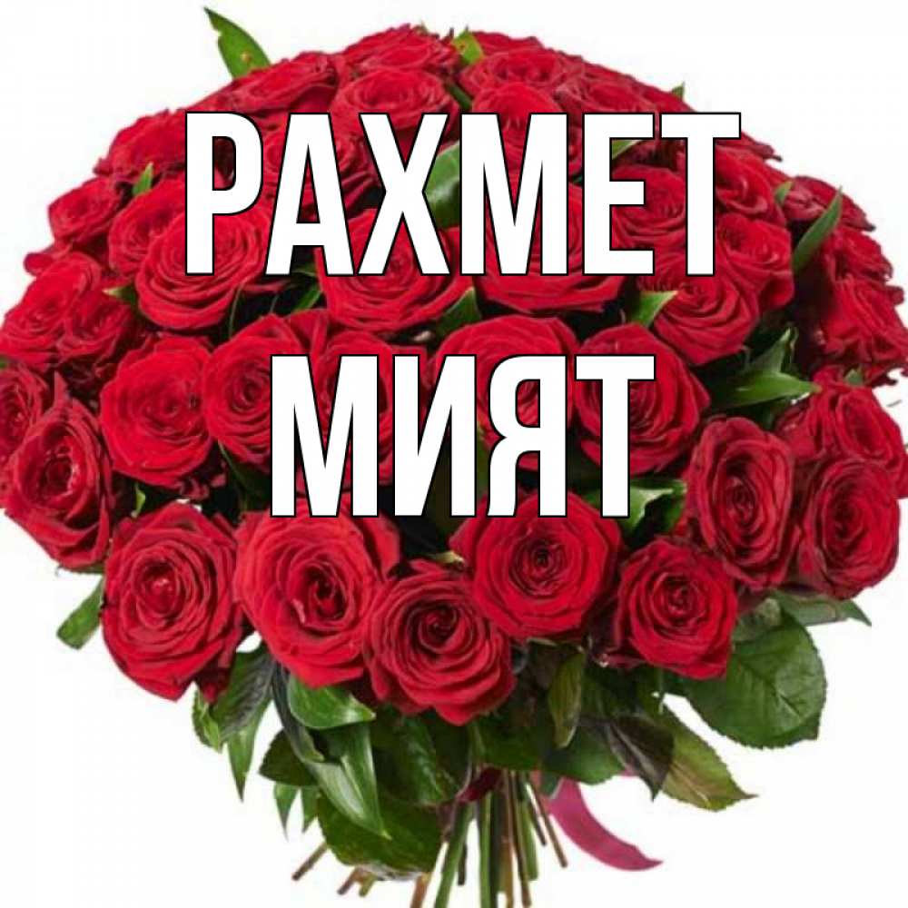 Күн сайын ашық хат с именем, МИЯТ рахмет букет красных роз Онлайн тегін жүктеп алу тілектері бар керемет карта 