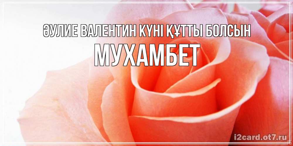 Күн сайын ашық хат с именем, МУХАМБЕТ Әулие Валентин күні құтты болсын открытка на день Святого Валентина с розовой розой Онлайн тегін жүктеп алу тілектері бар керемет карта 