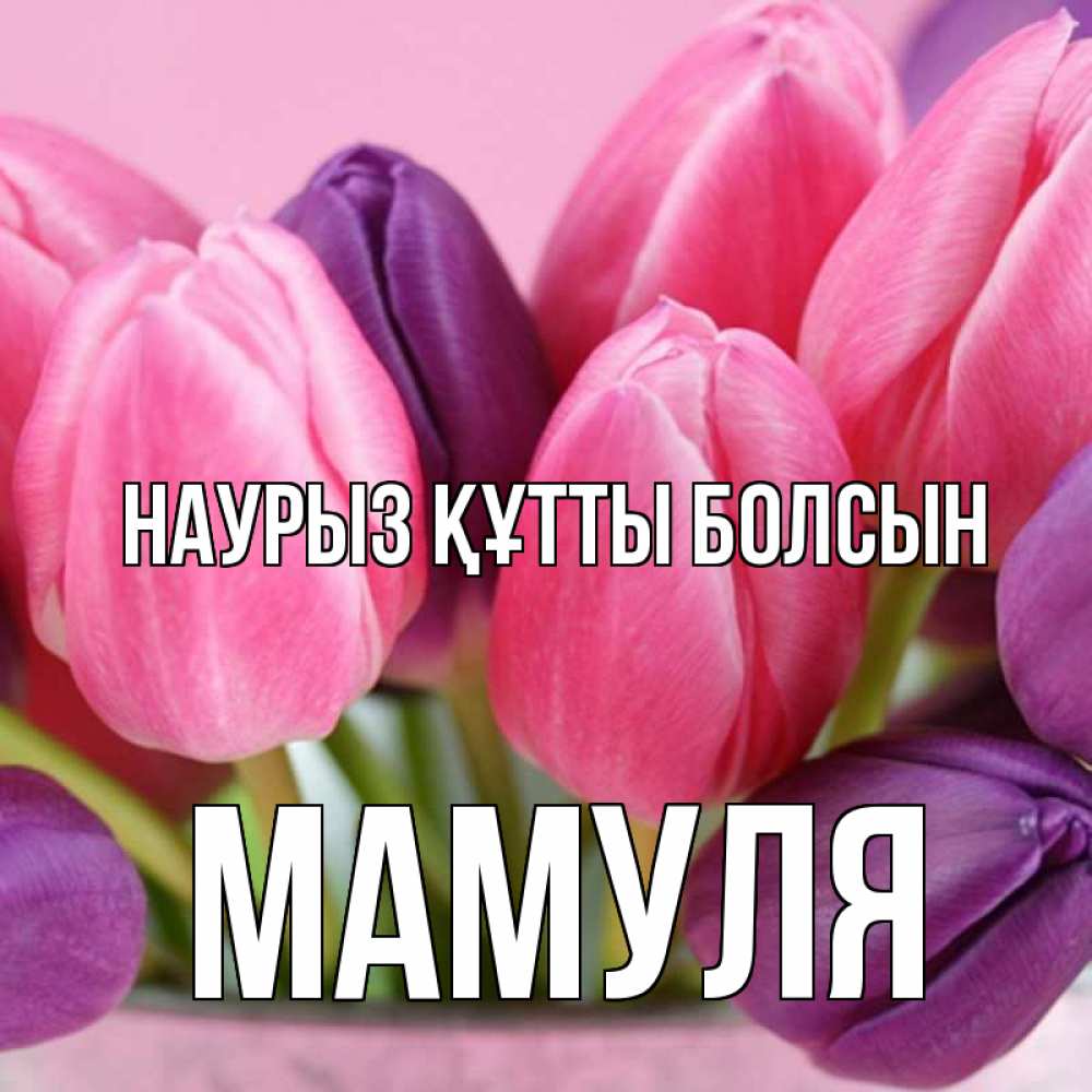 Күн сайын ашық хат с именем, Мамуля Наурыз құтты болсын маме 1 Онлайн тегін жүктеп алу тілектері бар керемет карта 