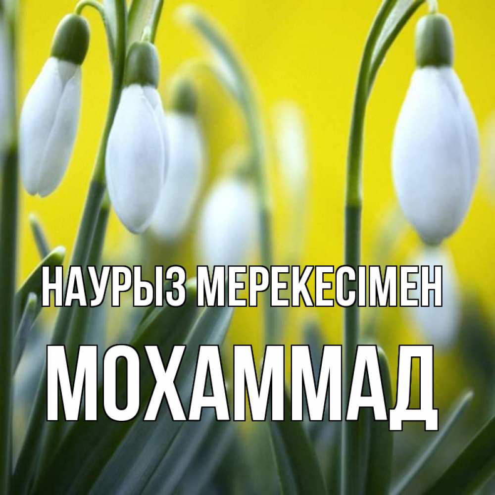 Күн сайын ашық хат с именем, Мохаммад Наурыз мерекесімен весенние цветы Онлайн тегін жүктеп алу тілектері бар керемет карта 