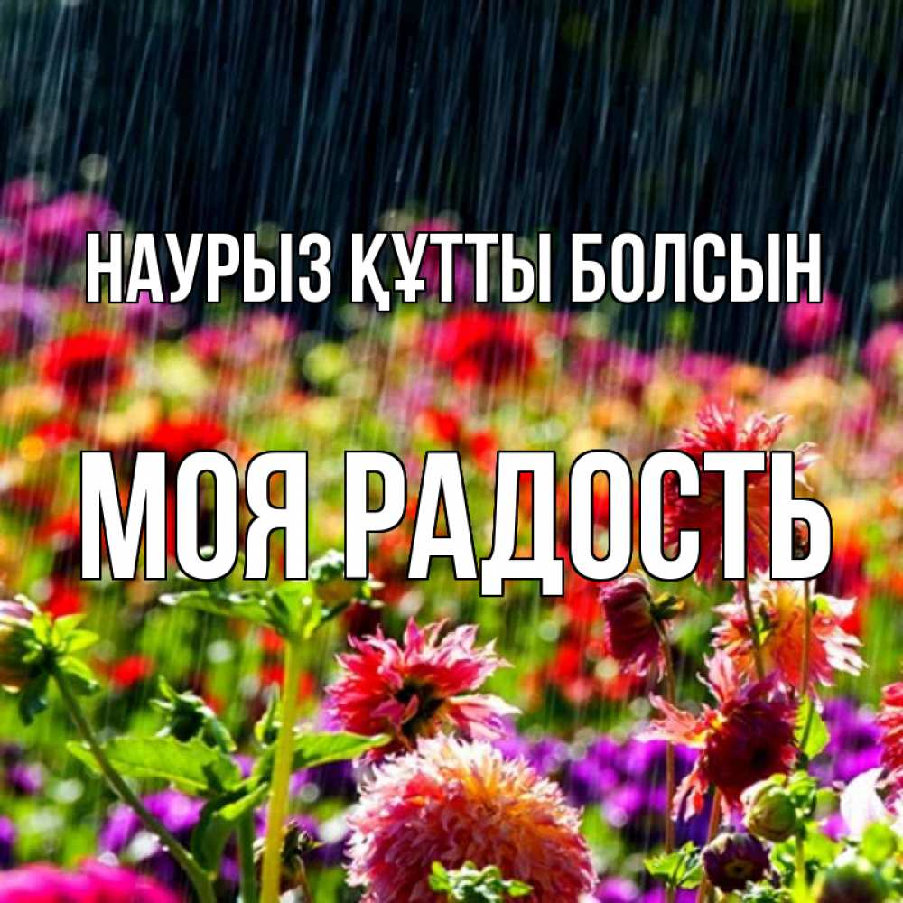 Күн сайын ашық хат с именем, Моя-радость Наурыз құтты болсын цветы под дождиком к наурызу Онлайн тегін жүктеп алу тілектері бар керемет карта 