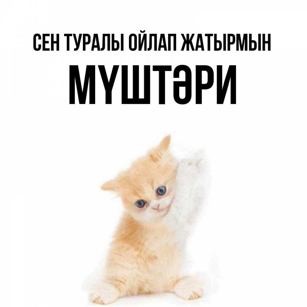 Күн сайын ашық хат с именем, МҮШТӘРИ Сен туралы ойлап жатырмын зверушки и милота Онлайн тегін жүктеп алу тілектері бар керемет карта 