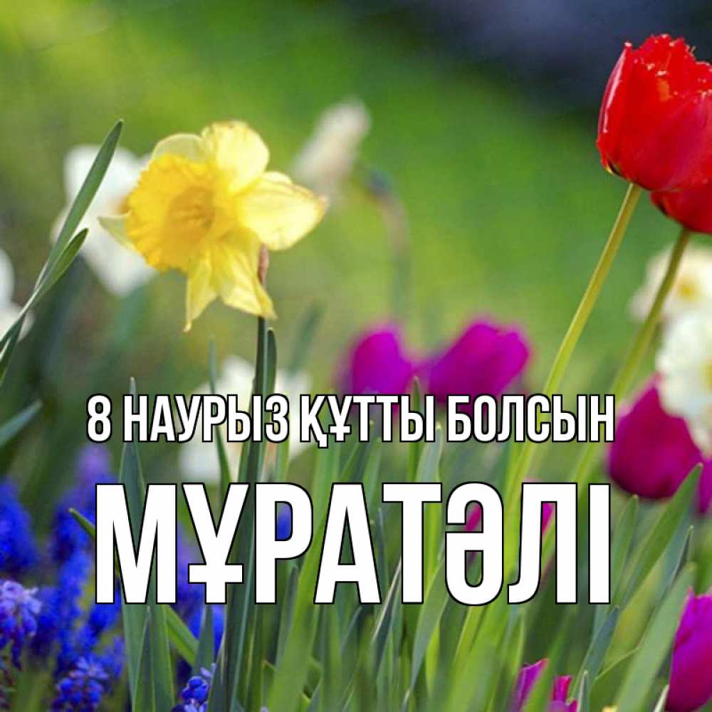 Күн сайын ашық хат с именем, Мұратәлі 8 наурыз құтты болсын международный женский день 3 Онлайн тегін жүктеп алу тілектері бар керемет карта 