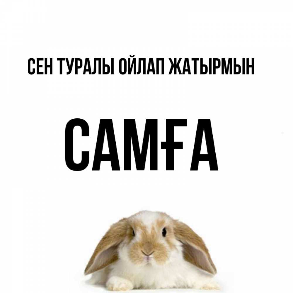 Күн сайын ашық хат с именем, САМҒА Сен туралы ойлап жатырмын подписать своими руками онлайн Онлайн тегін жүктеп алу тілектері бар керемет карта 
