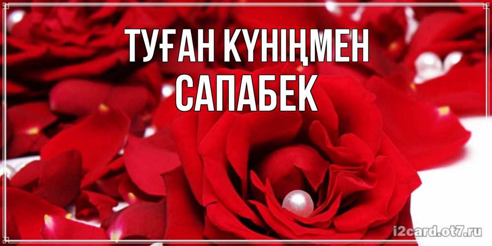 Күн сайын ашық хат с именем, САПАБЕК Туған күніңмен роза с жемчужиной на открытке для любимых Онлайн тегін жүктеп алу тілектері бар керемет карта 