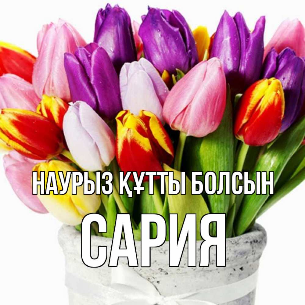 Күн сайын ашық хат с именем, САРИЯ Наурыз құтты болсын букет Онлайн тегін жүктеп алу тілектері бар керемет карта 