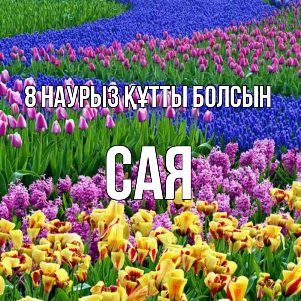 Күн сайын ашық хат с именем, САЯ 8 наурыз құтты болсын цветы Онлайн тегін жүктеп алу тілектері бар керемет карта 