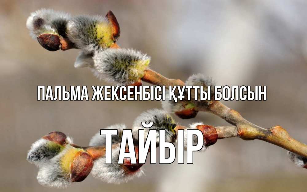 Күн сайын ашық хат с именем, ТАЙЫР Пальма жексенбісі құтты болсын Верба Онлайн тегін жүктеп алу тілектері бар керемет карта 