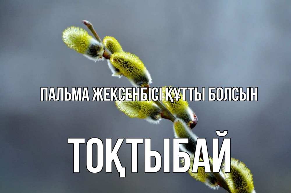 Күн сайын ашық хат с именем, ТОҚТЫБАЙ Пальма жексенбісі құтты болсын верба Онлайн тегін жүктеп алу тілектері бар керемет карта 