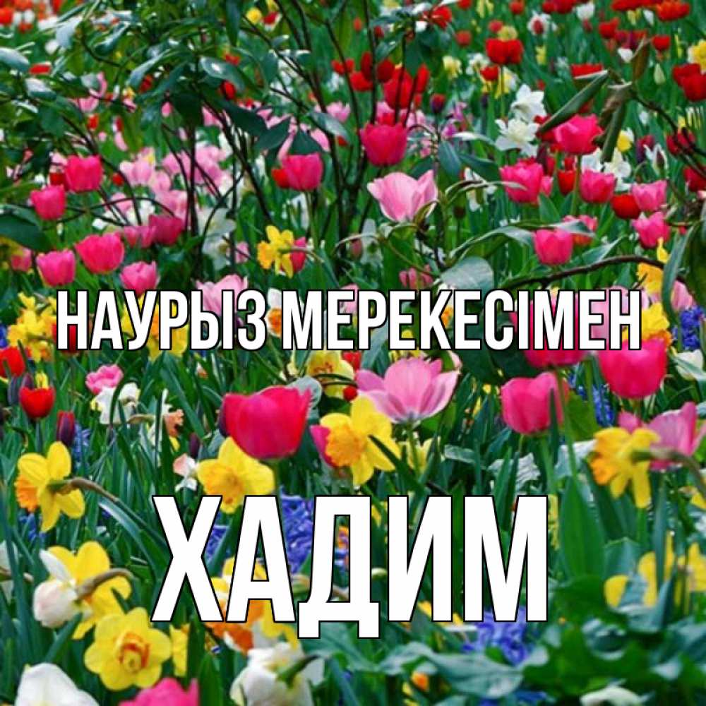 Күн сайын ашық хат с именем, ХАДИМ Наурыз мерекесімен с наурызом праздником весны поздравления для женщины Онлайн тегін жүктеп алу тілектері бар керемет карта 