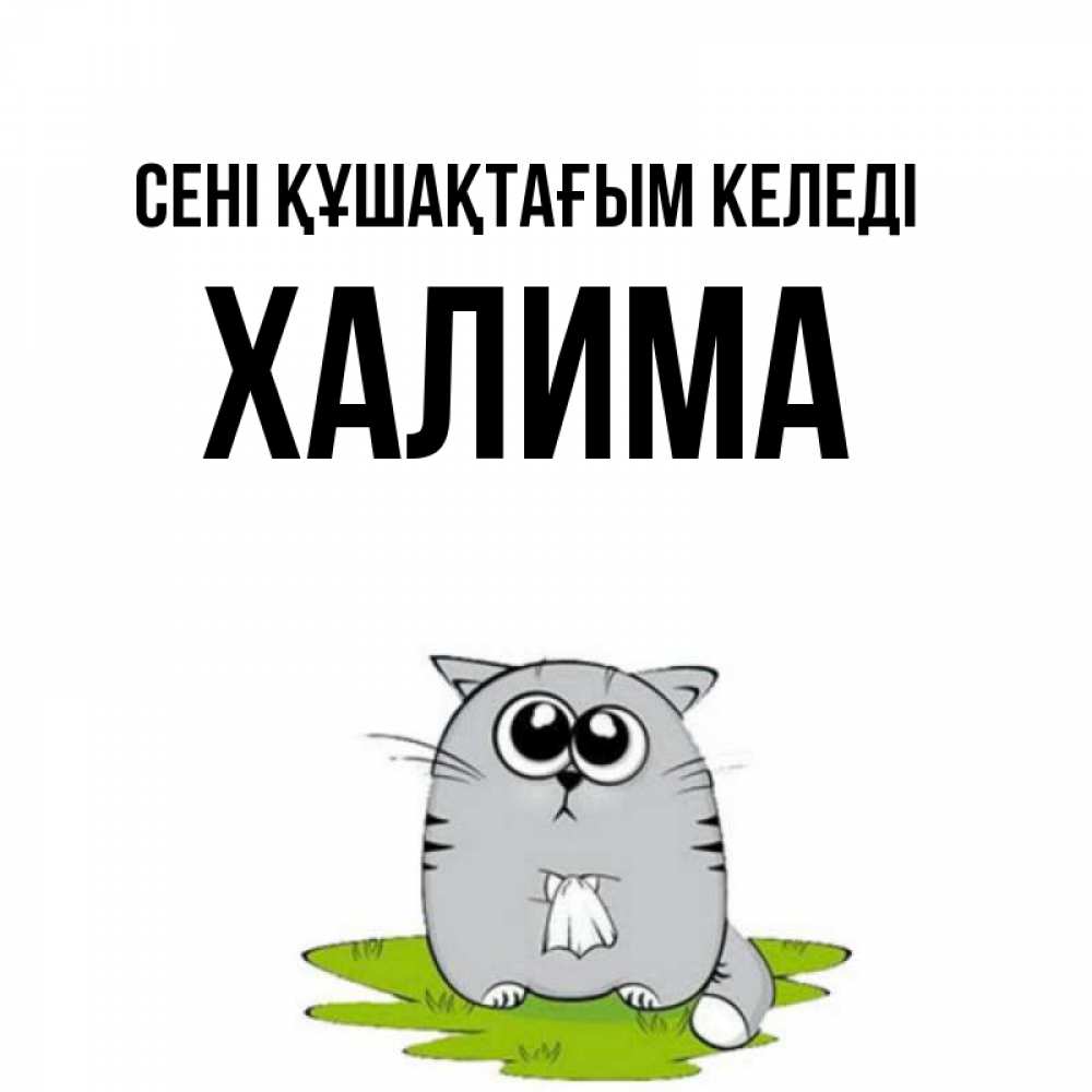 Күн сайын ашық хат с именем, ХАЛИМА сені құшақтағым келеді котик теребит платочек сидя на травке Онлайн тегін жүктеп алу тілектері бар керемет карта 