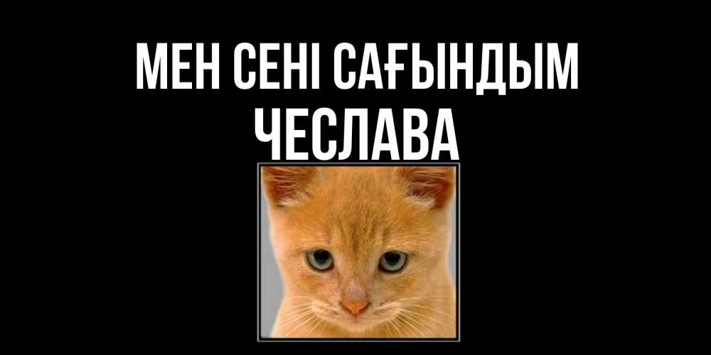 Күн сайын ашық хат с именем, Чеслава Мен сені сағындым открытки рыжий котенок скучает по тебе Онлайн тегін жүктеп алу тілектері бар керемет карта 