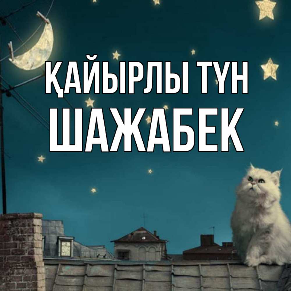 Күн сайын ашық хат с именем, ШАЖАБЕК Қайырлы түн белый кот сидит на крыше Онлайн тегін жүктеп алу тілектері бар керемет карта 