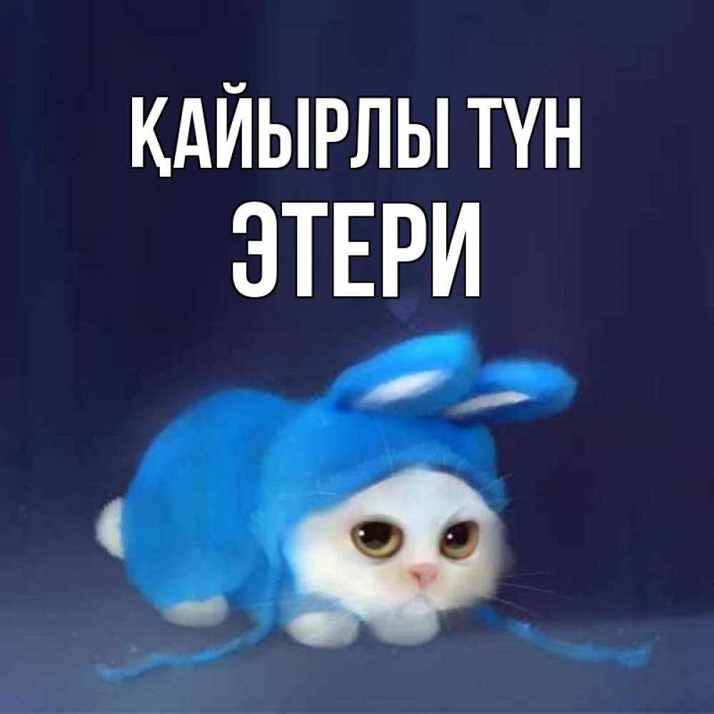 Күн сайын ашық хат с именем, Этери Қайырлы түн кот в голубом костюме кролика с ушками Онлайн тегін жүктеп алу тілектері бар керемет карта 