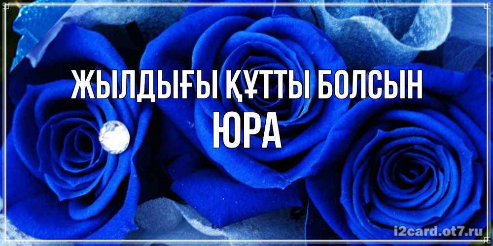 Күн сайын ашық хат с именем, Юра Жылдығы құтты болсын синие розы в росе Онлайн тегін жүктеп алу тілектері бар керемет карта 