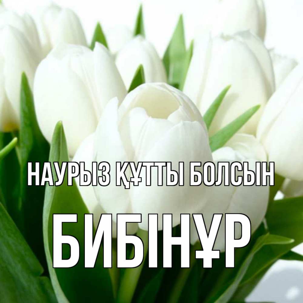Күн сайын ашық хат с именем, БИБІНҰР Наурыз құтты болсын цветы Онлайн тегін жүктеп алу тілектері бар керемет карта 
