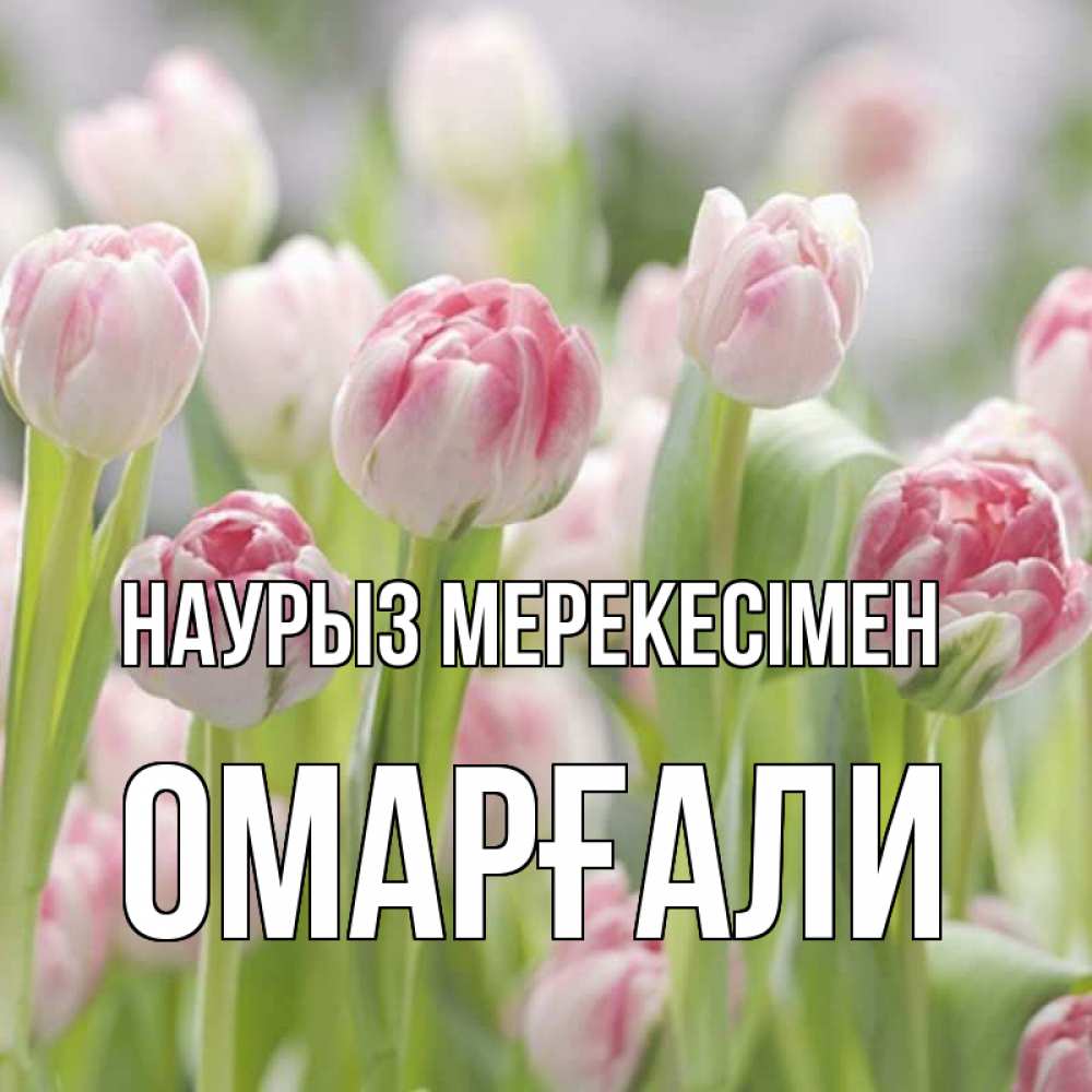 Күн сайын ашық хат с именем, ОМАРҒАЛИ Наурыз мерекесімен цветы Онлайн тегін жүктеп алу тілектері бар керемет карта 