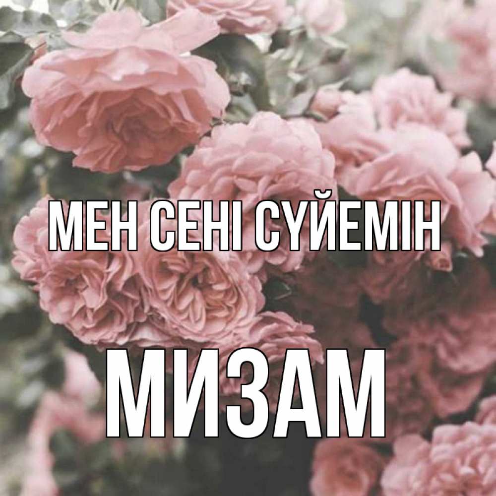 Күн сайын ашық хат с именем, МИЗАМ Мен сені сүйемін розы 3 Онлайн тегін жүктеп алу тілектері бар керемет карта 