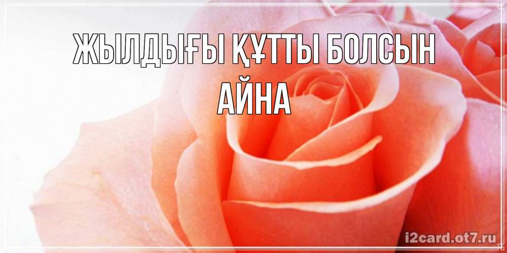 Күн сайын ашық хат с именем, АЙНА Жылдығы құтты болсын розы для поздравления с днем рождения Онлайн тегін жүктеп алу тілектері бар керемет карта 