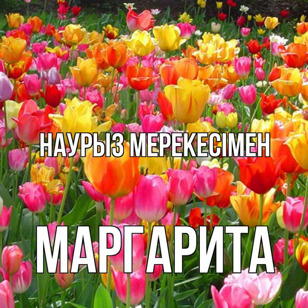 Күн сайын ашық хат с именем, Маргарита Наурыз мерекесімен праздник весны наурыз 4 Онлайн тегін жүктеп алу тілектері бар керемет карта 