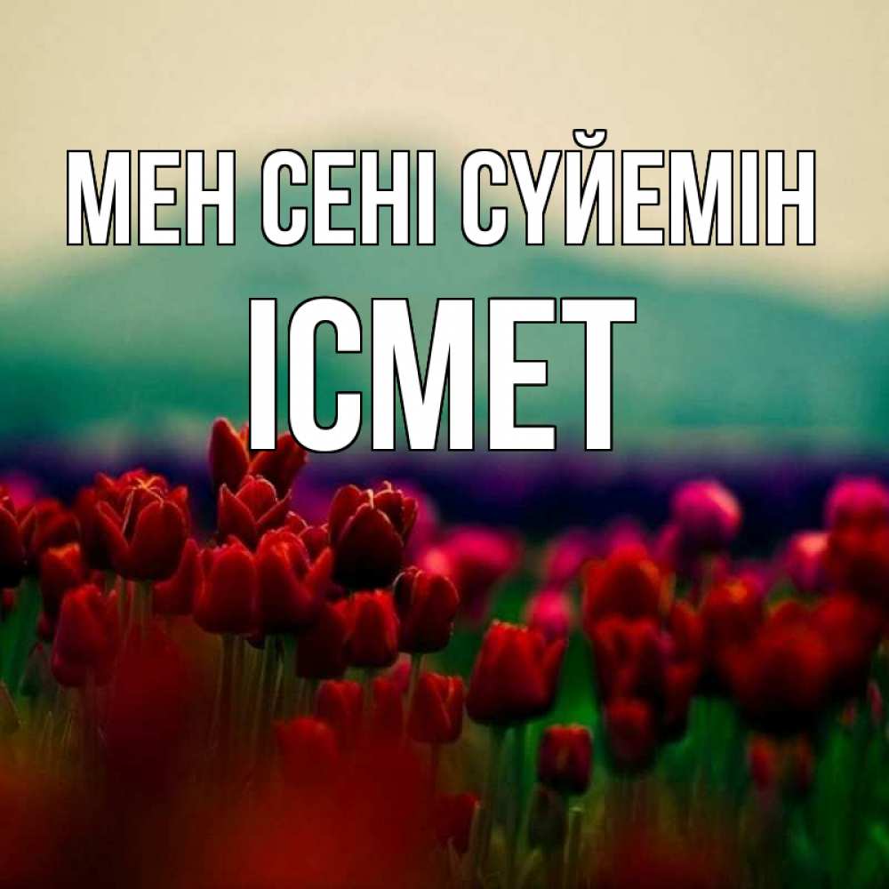 Күн сайын ашық хат с именем, ІСМЕТ Мен сені сүйемін тюльпаны 4 Онлайн тегін жүктеп алу тілектері бар керемет карта 