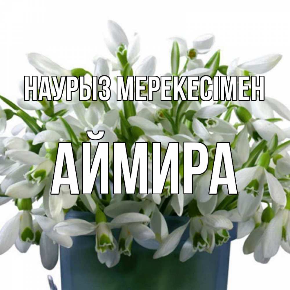Күн сайын ашық хат с именем, АЙМИРА Наурыз мерекесімен цветы к наурызу новый год в Казахстане Онлайн тегін жүктеп алу тілектері бар керемет карта 