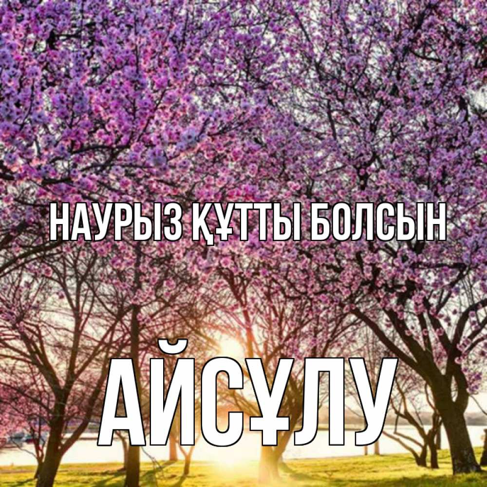 Күн сайын ашық хат с именем, АЙСҰЛУ Наурыз құтты болсын наурыз Онлайн тегін жүктеп алу тілектері бар керемет карта 