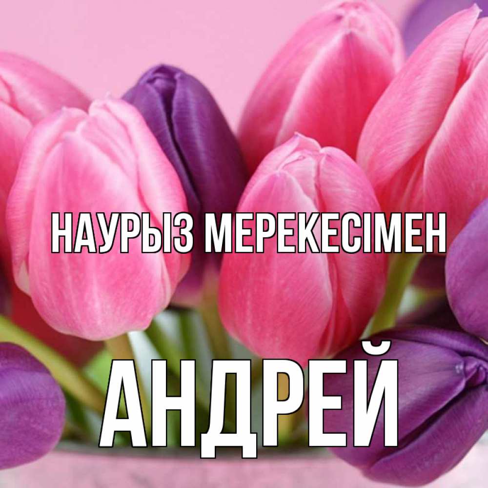 Күн сайын ашық хат с именем, Андрей Наурыз мерекесімен маме 1 Онлайн тегін жүктеп алу тілектері бар керемет карта 