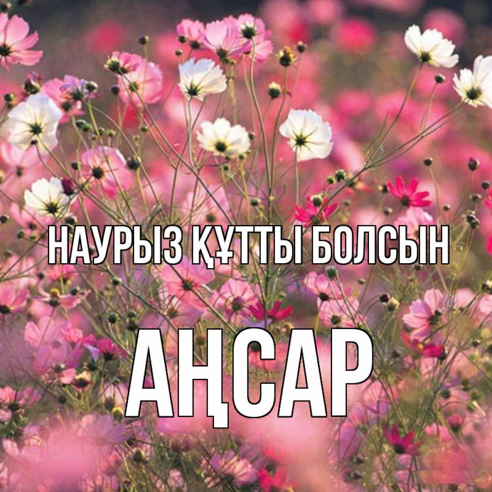 Күн сайын ашық хат с именем, Аңсар Наурыз құтты болсын красиво 1 Онлайн тегін жүктеп алу тілектері бар керемет карта 
