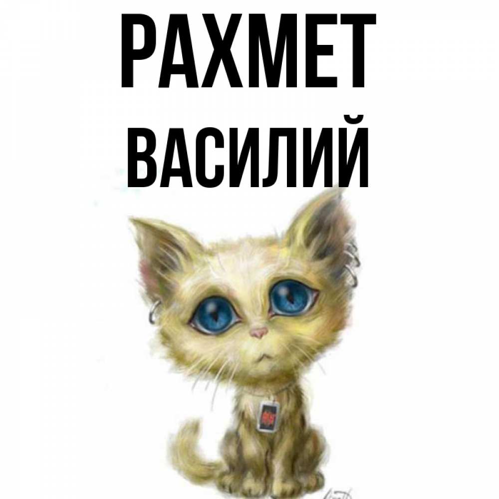 Күн сайын ашық хат с именем, Василий рахмет рисованный кот благодарит вас Онлайн тегін жүктеп алу тілектері бар керемет карта 