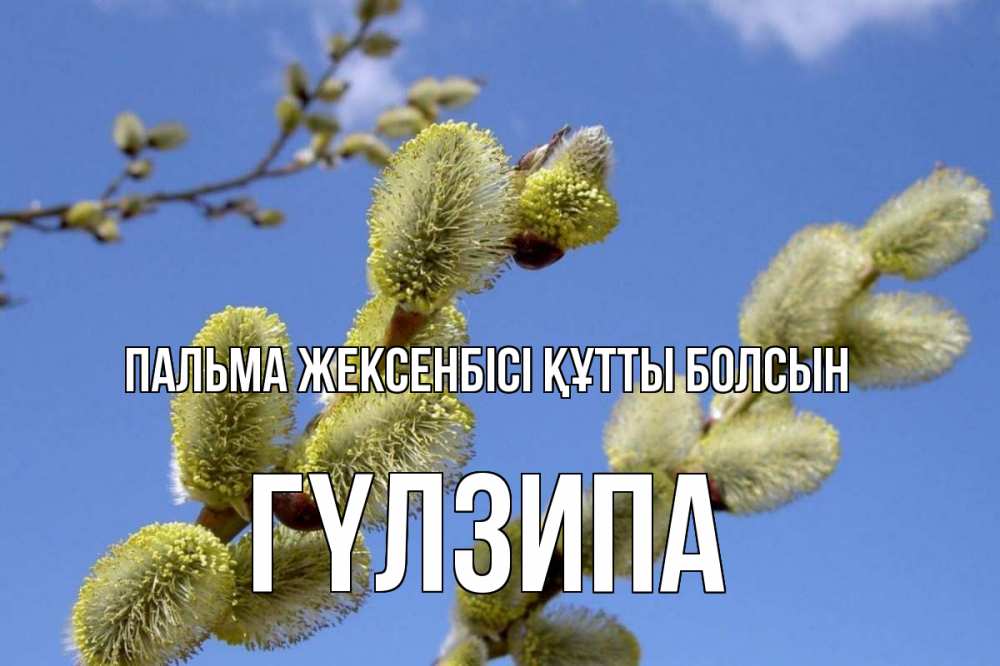 Күн сайын ашық хат с именем, ГҮЛЗИПА Пальма жексенбісі құтты болсын верба Онлайн тегін жүктеп алу тілектері бар керемет карта 