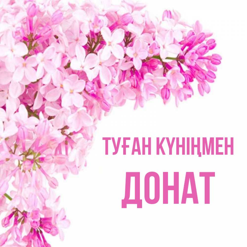 Күн сайын ашық хат с именем, Донат Туған күніңмен Сирень на белом фоне Онлайн тегін жүктеп алу тілектері бар керемет карта 