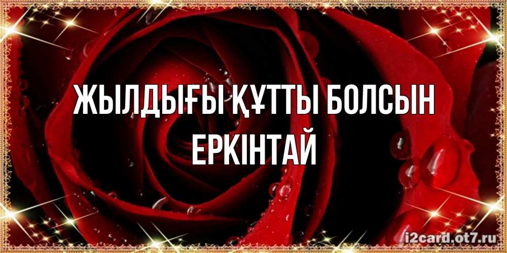Күн сайын ашық хат с именем, Еркінтай Жылдығы құтты болсын цветок в росе на день рождения Онлайн тегін жүктеп алу тілектері бар керемет карта 