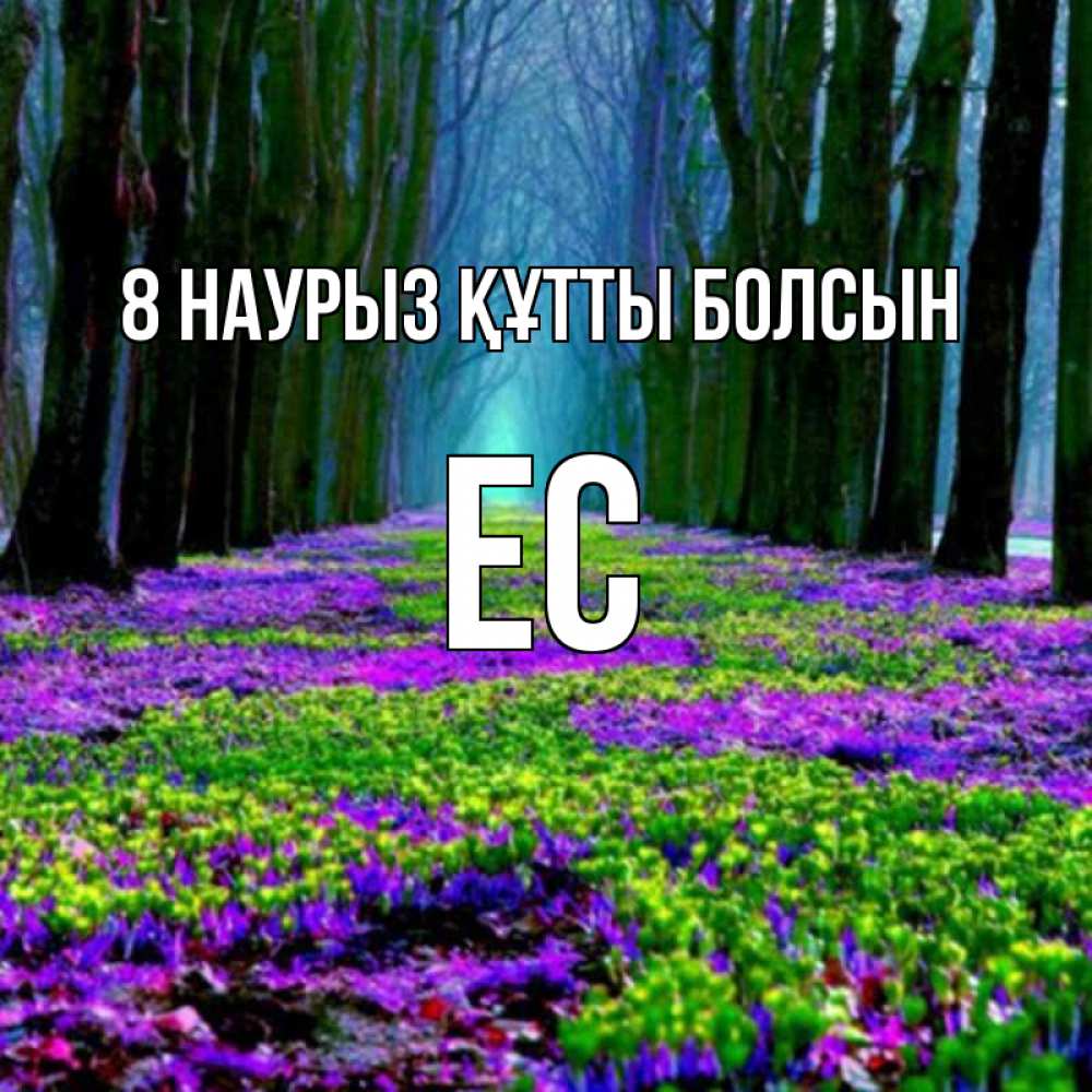 Күн сайын ашық хат с именем, Ес 8 наурыз құтты болсын фиолетовые цветы в лесу 1 Онлайн тегін жүктеп алу тілектері бар керемет карта 